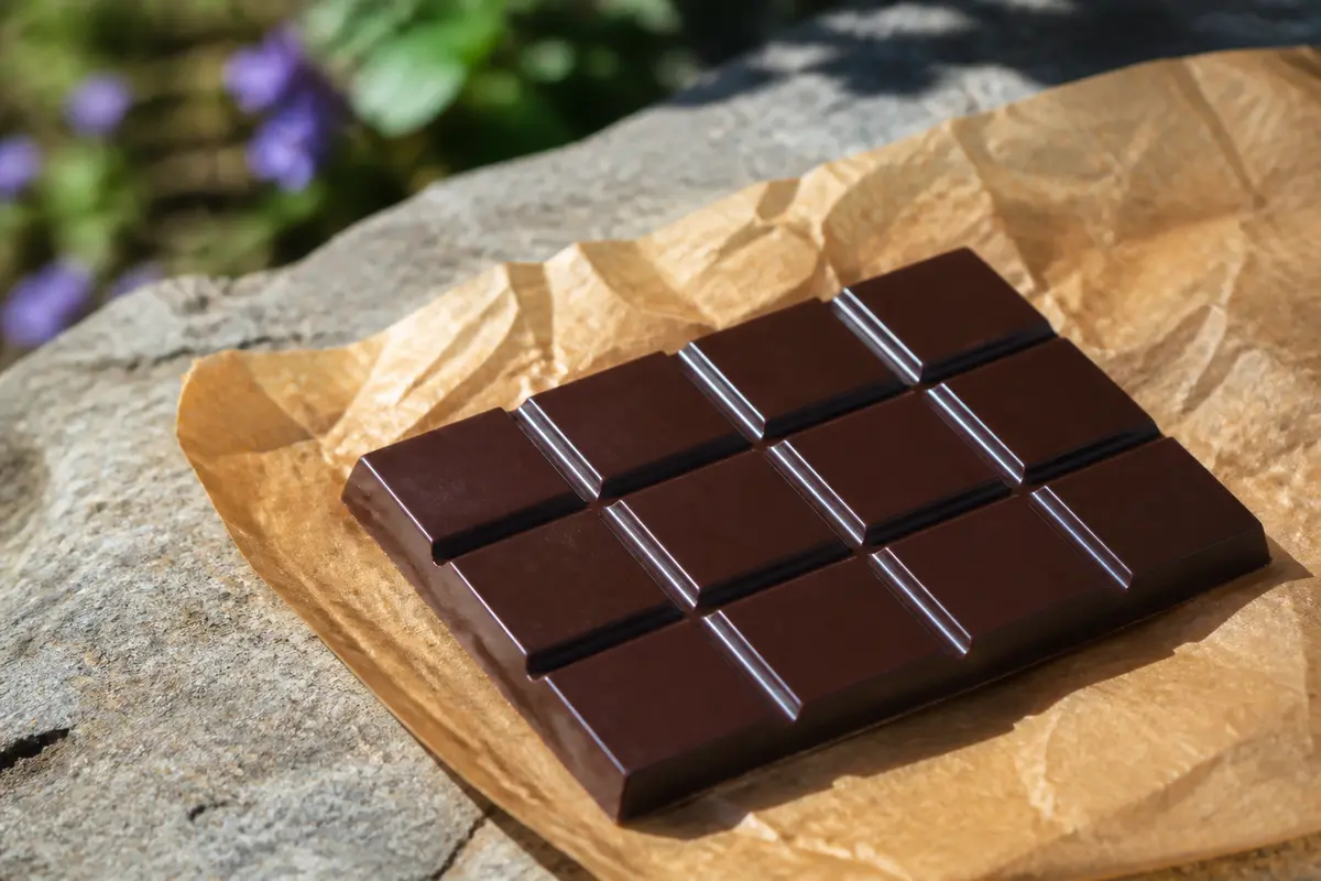 Chocolat noir 100 % cacao : secrets, goût et bienfaits